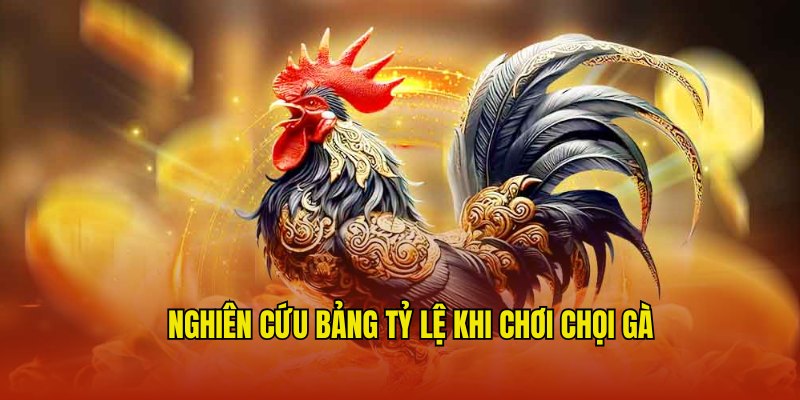 Nghiên cứu kỹ về bảng tỷ lệ kèo của bộ môn chọi kê 