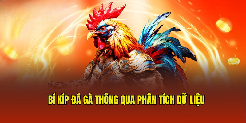 Chiến lược dự đoán cực chuẩn qua phân tích dữ liệu 